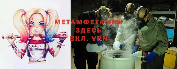 прущие грибы Белая Холуница