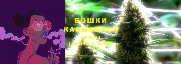 PSILOCYBIN Белая Калитва