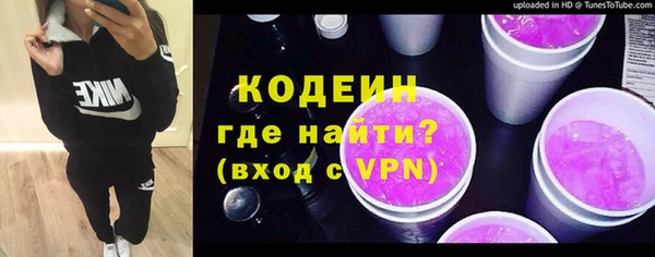 прущие грибы Белая Холуница