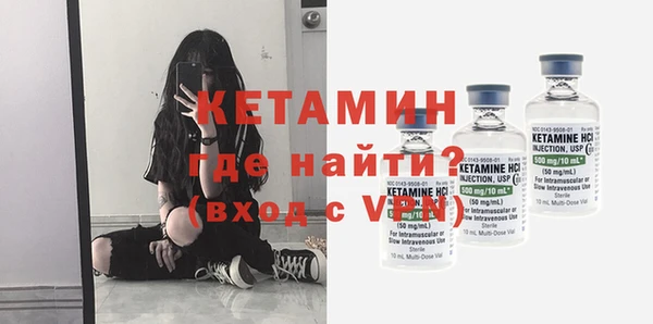 прущие грибы Белая Холуница